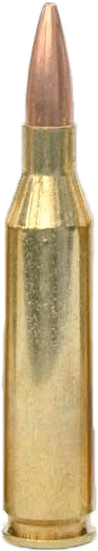 bullet